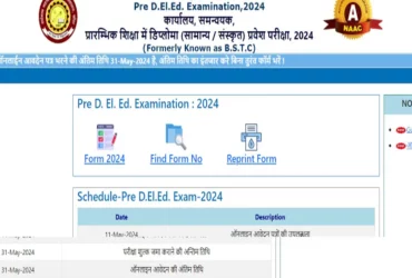 Rajasthan BSTC Pre DElEd Result 2024 Declared: Find Out How to Check Your Score!”