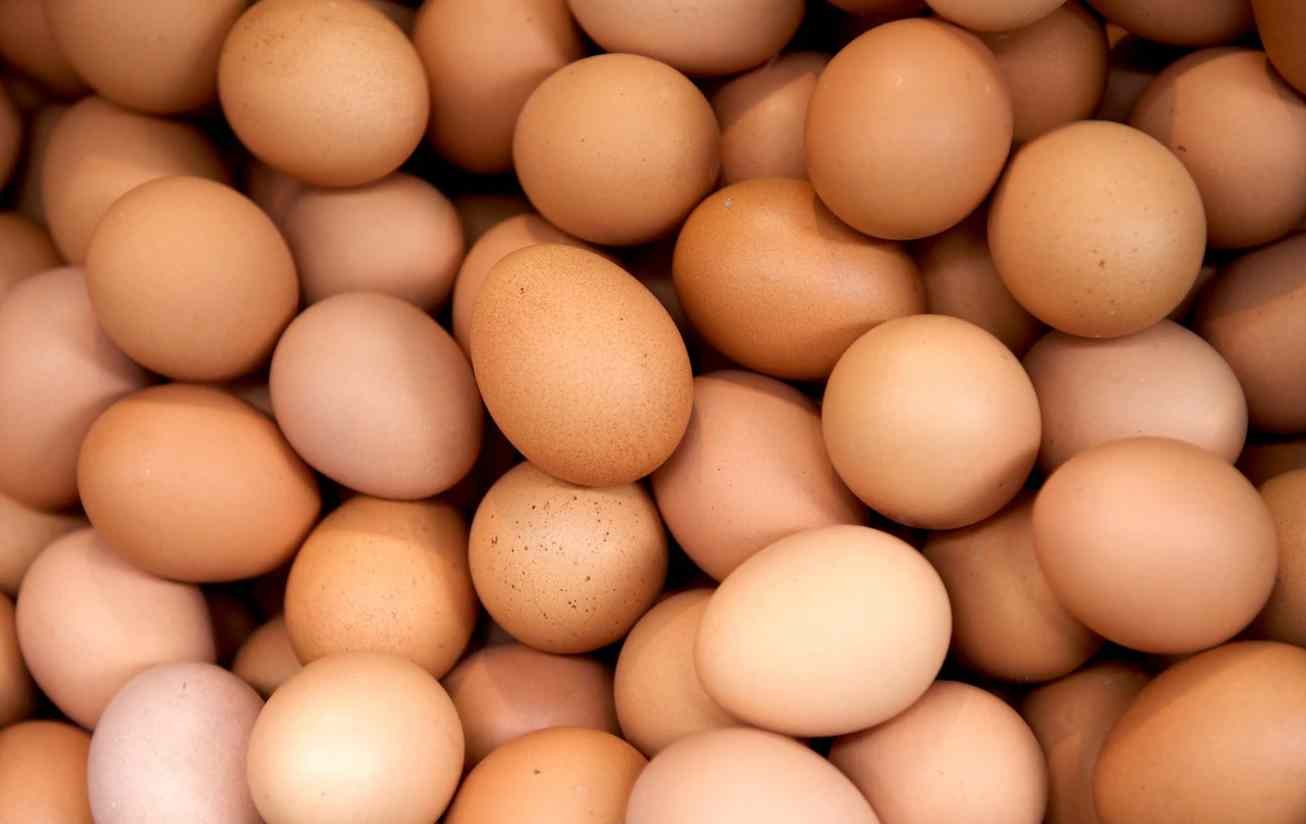 Salmonella Outbreak Linked to Egg Recall