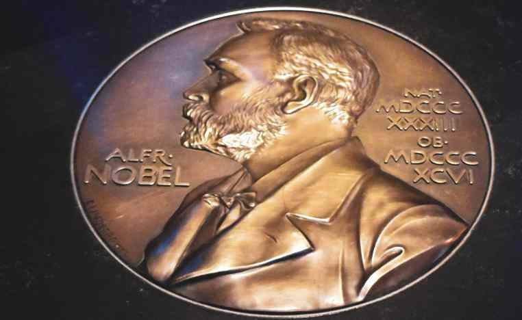 Nobel Prize in Medicine 2024